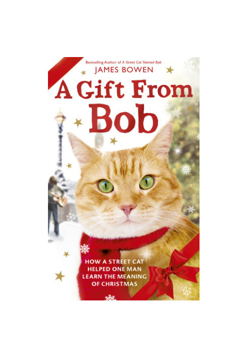 A Gift from Bob