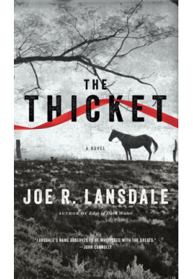 The Thicket
