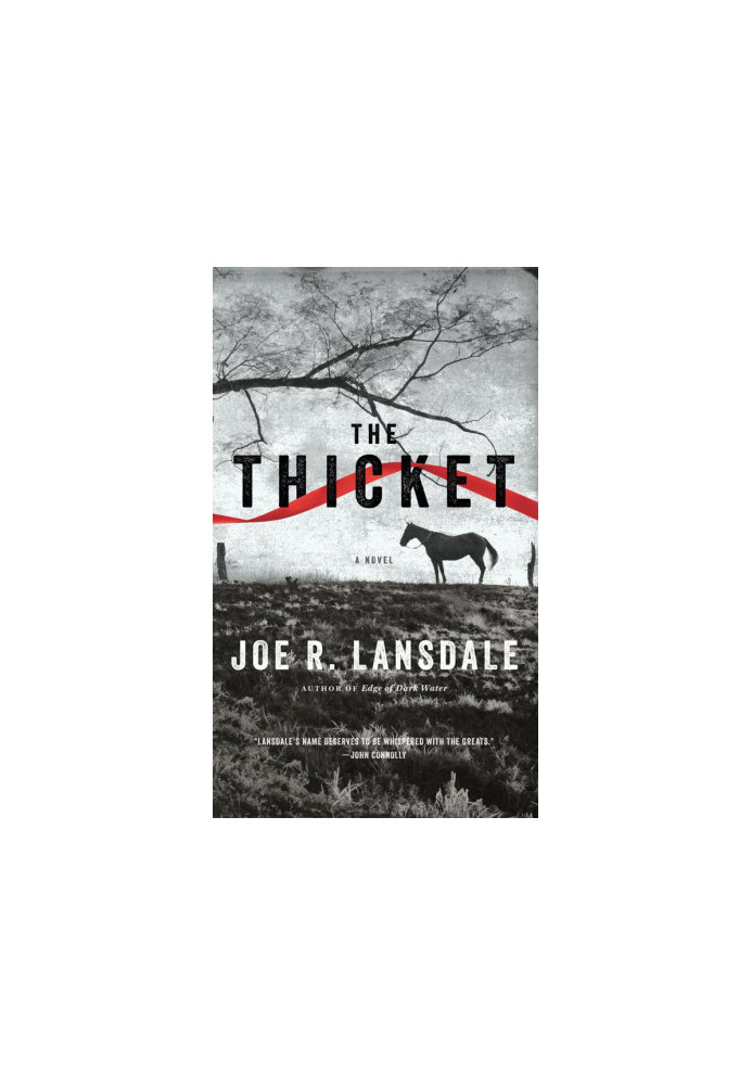 The Thicket