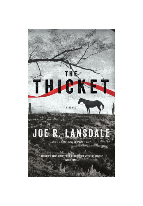 The Thicket