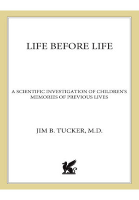 Life Before Life