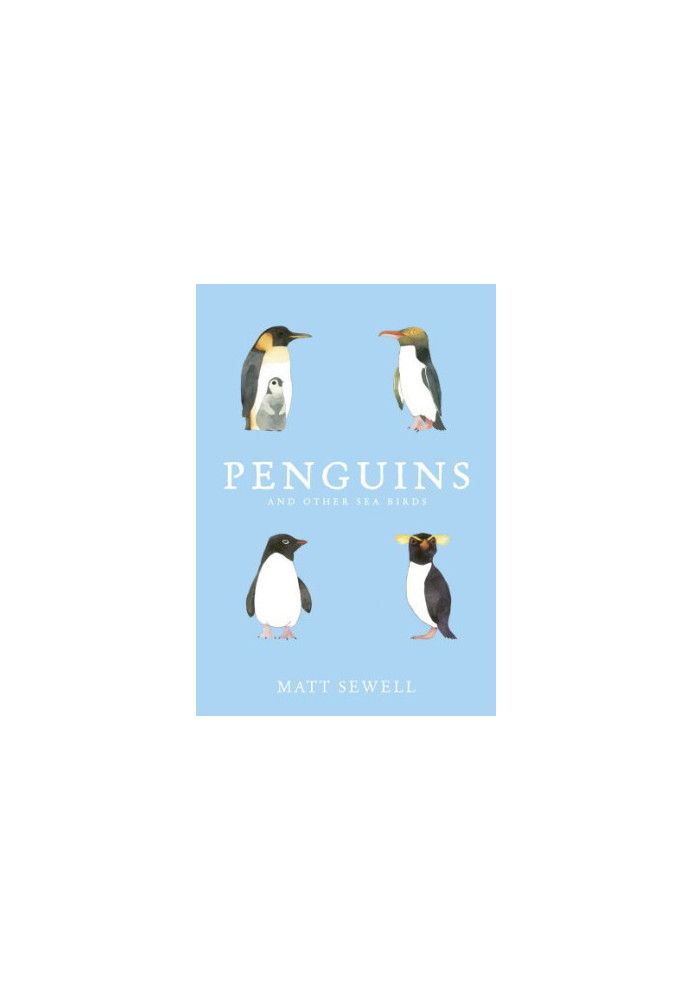 Penguins and Other Sea Birds