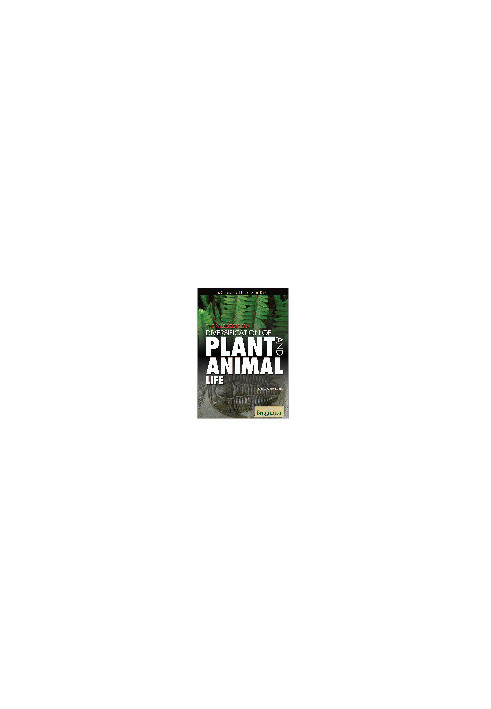 The Paleozoic Era. Diversification of Plant and Animal Life