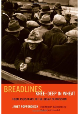 Breadlines knee-deep in wheat : food assistance in the Great Depression