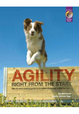 Agility Right from the Start