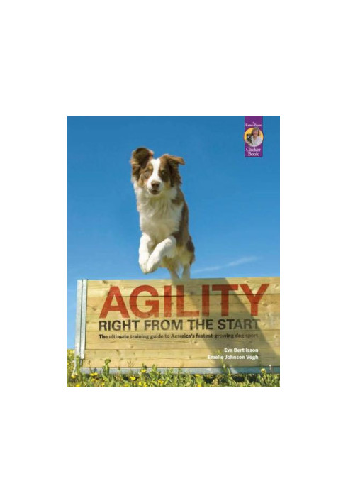 Agility Right from the Start