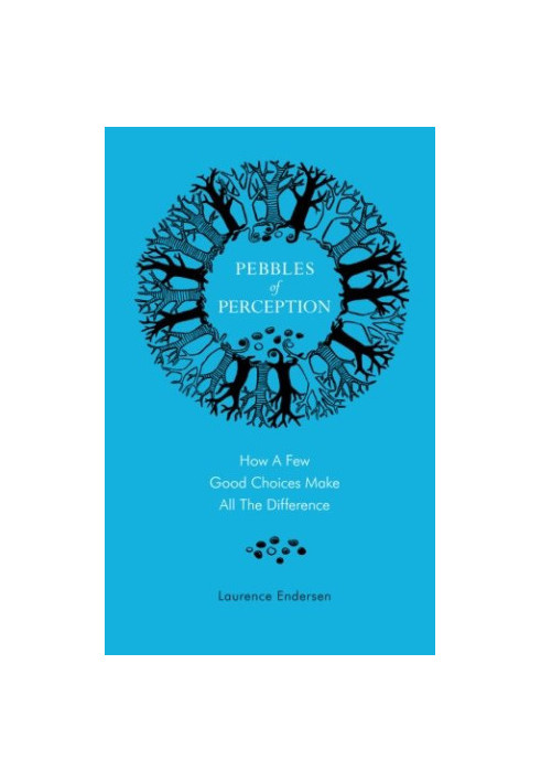 Pebbles of perception : how a few good choices make all the difference