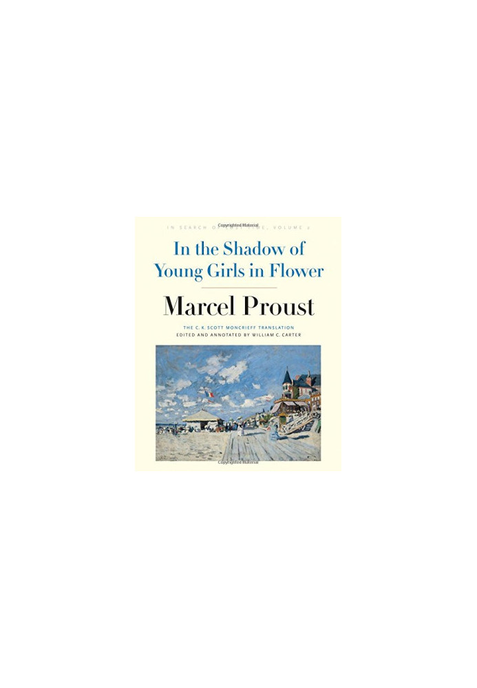In the Shadow of Young Girls in Flower: In Search of Lost Time, Volume 2