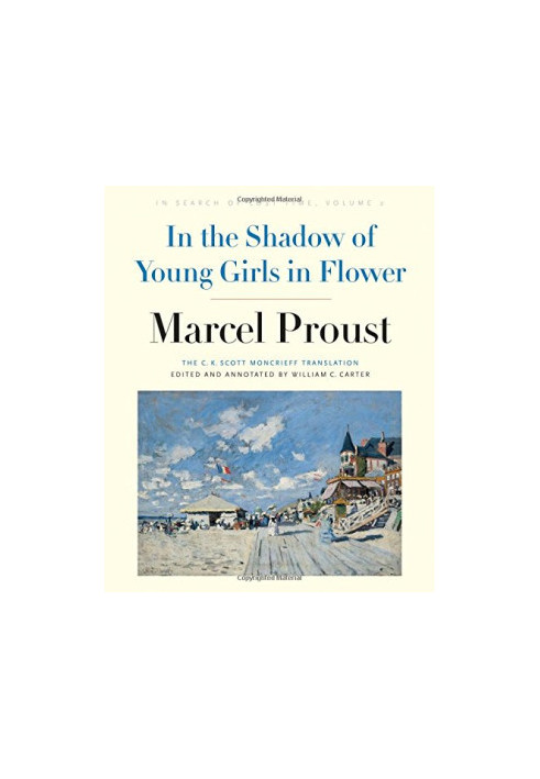 In the Shadow of Young Girls in Flower: In Search of Lost Time, Volume 2