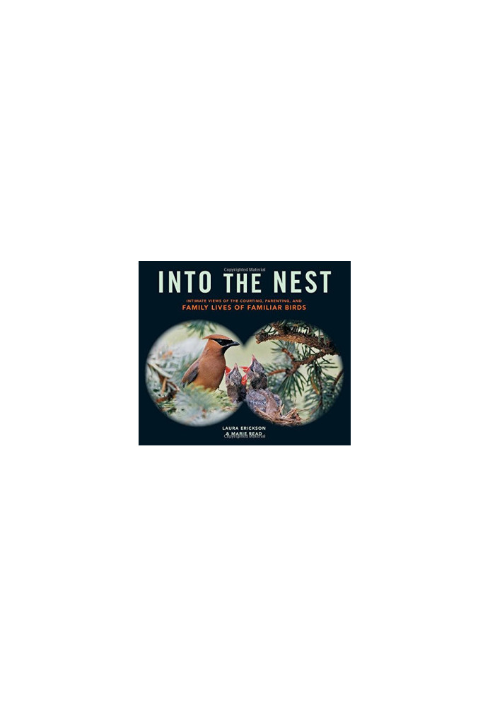 Into the Nest: Intimate Views of the Courting, Parenting, and Family Lives of Familiar Birds