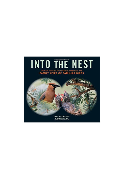Into the Nest: Intimate Views of the Courting, Parenting, and Family Lives of Familiar Birds