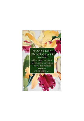 Monsters under Glass : A Cultural History of Hothouse Flowers from 1850 to the Present