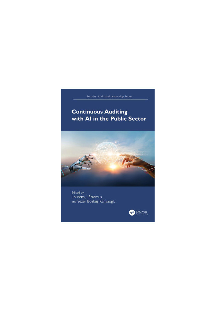 Continuous Auditing with AI in the Public Sector
