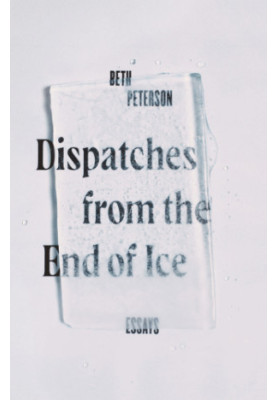 Dispatches from the end of ice: essays