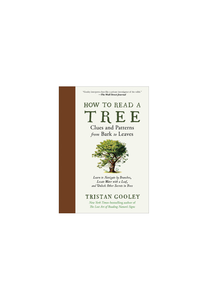 How to Read a Tree: Clues and Patterns from Bark to Leaves