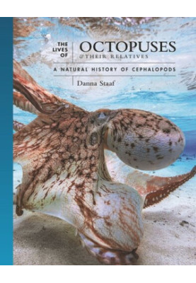 The Lives of Octopuses and Their Relatives: A Natural History of Cephalopods