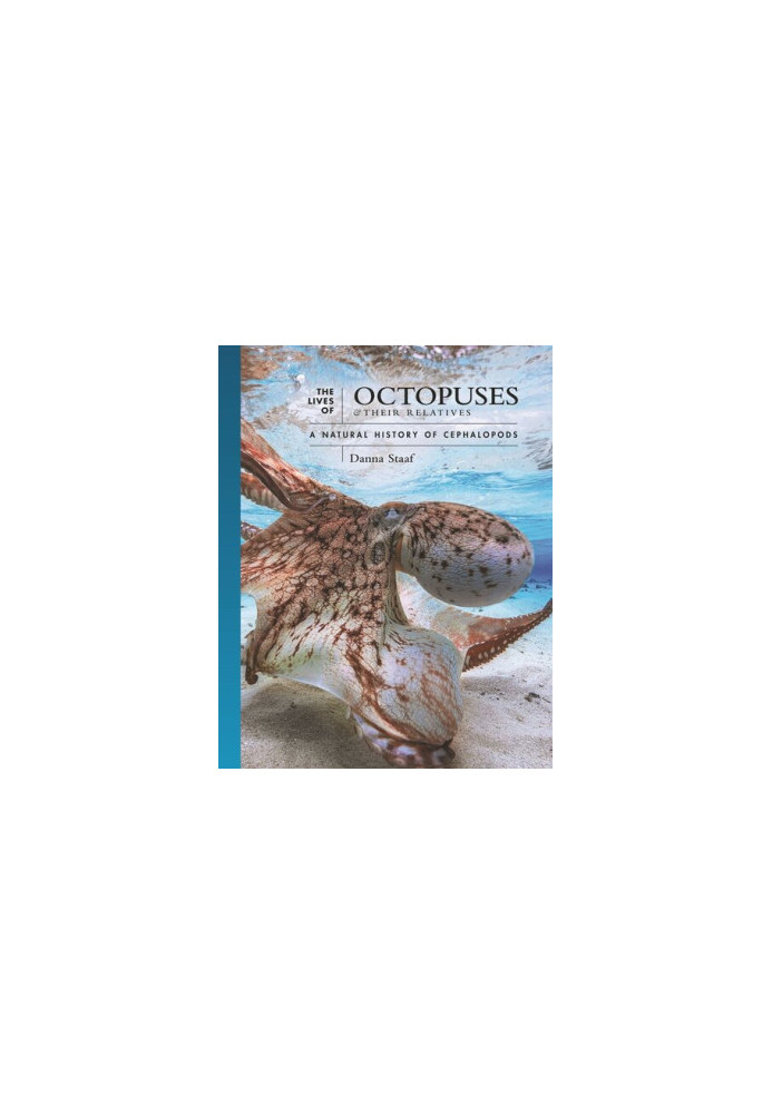 The Lives of Octopuses and Their Relatives: A Natural History of Cephalopods