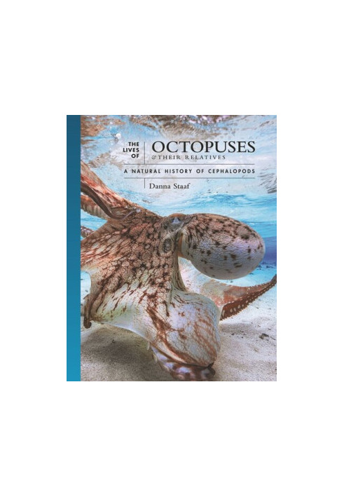 The Lives of Octopuses and Their Relatives: A Natural History of Cephalopods