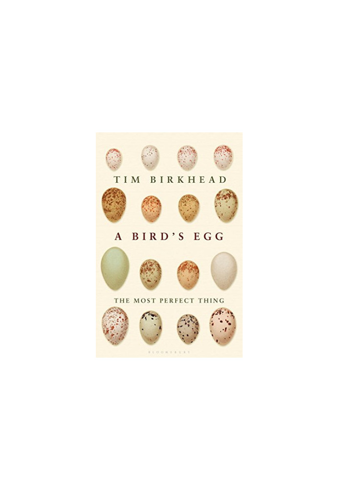 The Most Perfect Thing: Inside (and Outside) a Bird's Egg