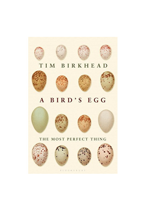 The Most Perfect Thing: Inside (and Outside) a Bird's Egg