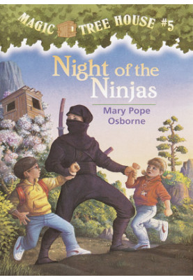 Night of the Ninjas