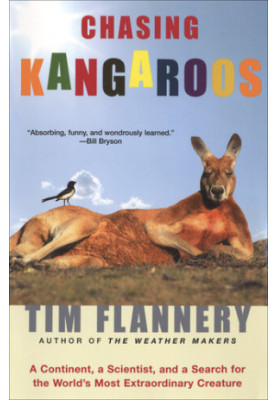 Chasing Kangaroos