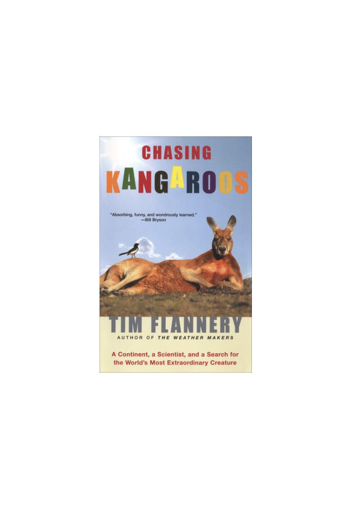 Chasing Kangaroos