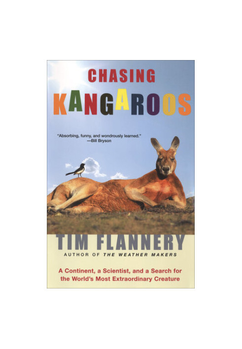 Chasing Kangaroos