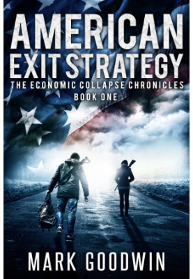American Exit Strategy: A Post-Apocalyptic Tale of America's Coming Financial Downfall - The Economic Collapse Chronicles, Bo