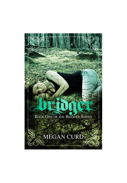[Bridger 01] • Bridger