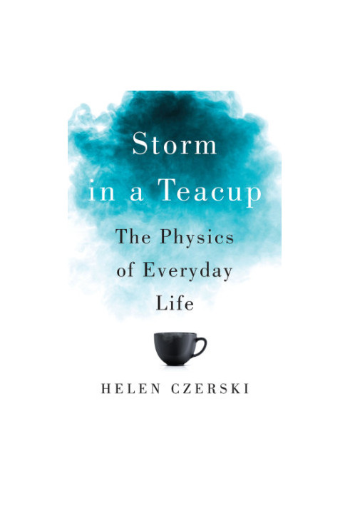 Storm in a Teacup: The Physics of Everyday Life