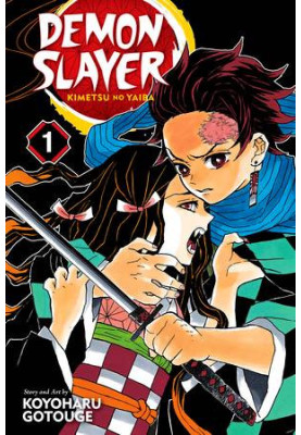 Demon Slayer: Kimetsu No Yaiba, Vol. 1: Cruelty