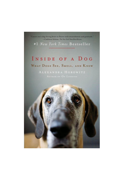 Inside of a Dog: What Dogs See, Smell, and Know