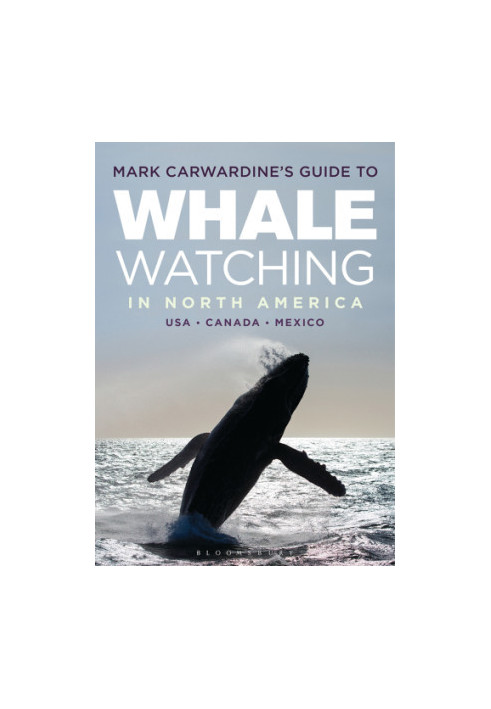 Mark Carwardine's Guide to Whale Watching in North America