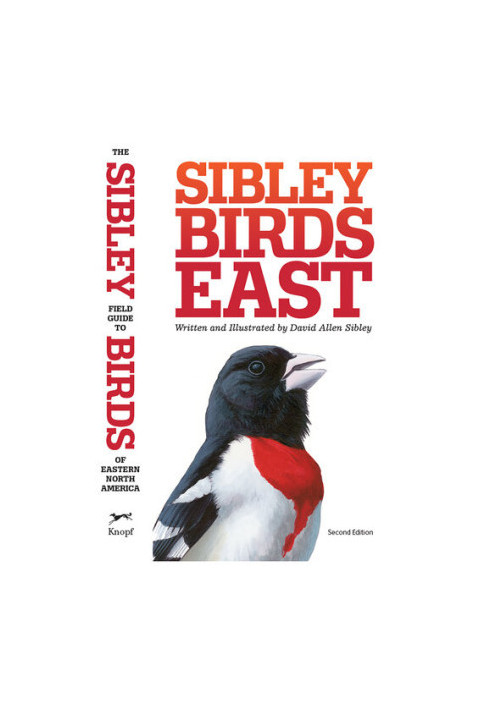The Sibley Field Guide to Birds of Eastern North America : Second Edition