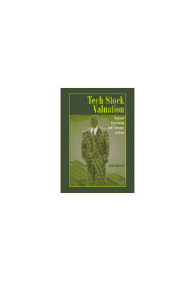 Tech Stock Valuation. Investor Psychology and Economic Analysis
