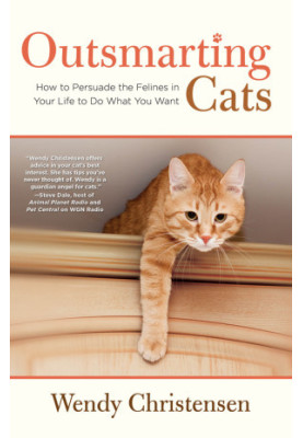 Outsmarting Cats