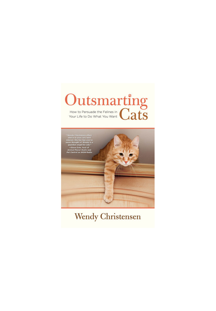 Outsmarting Cats