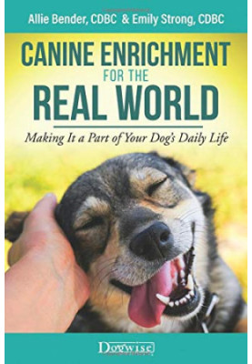 Canine Enrichment for the Real World: Making It a Part of Your Dog’s Daily Life