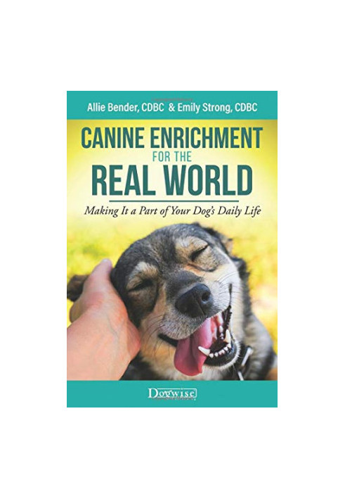 Canine Enrichment for the Real World: Making It a Part of Your Dog’s Daily Life