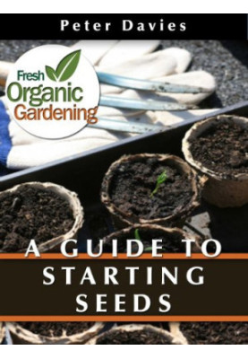 A Guide to Starting Seeds