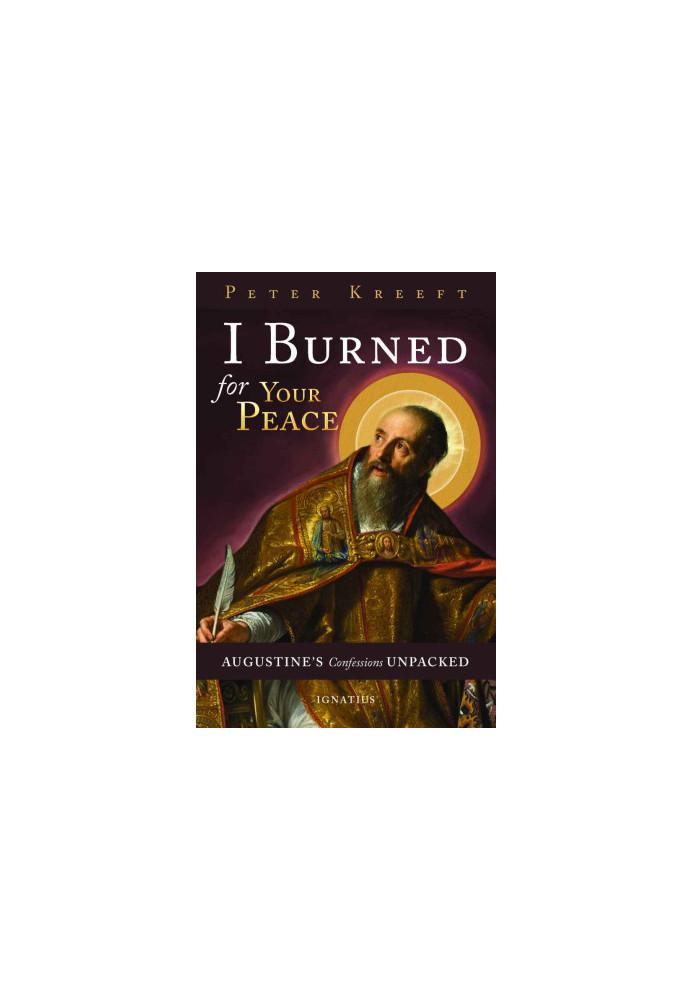 I Burned for Your Peace: Augustine's Confessions Unpacked