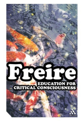 Education for Critical Consciousness (Continuum Impacts)
