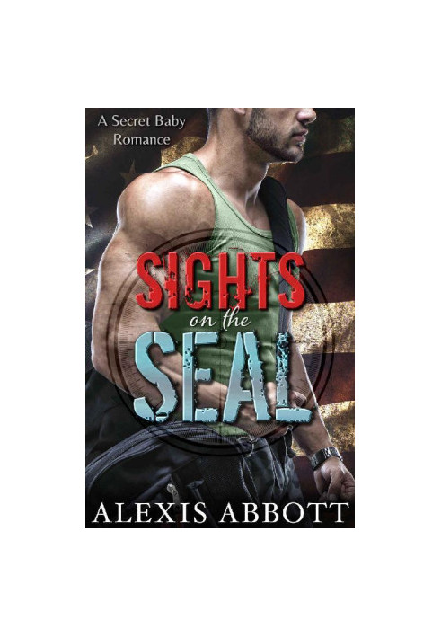 Sights on the SEAL · A Secret Baby Romance