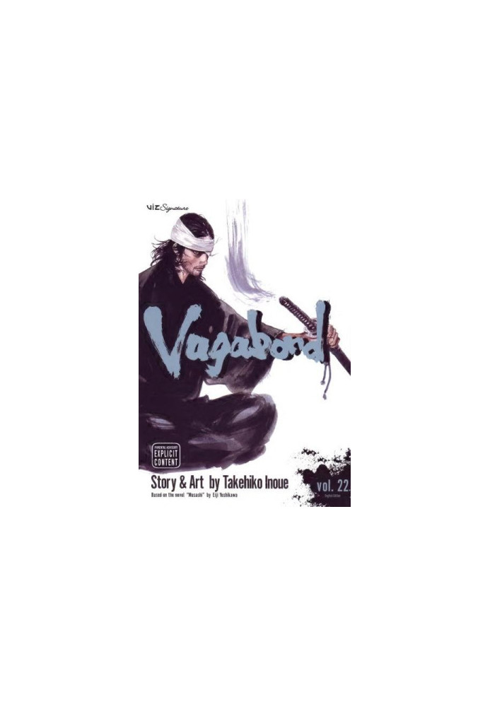 Vagabond, Vol. 22