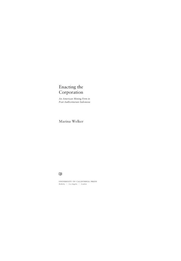 Enacting the Corporation : An American Mining Firm in Post-Authoritarian Indonesia