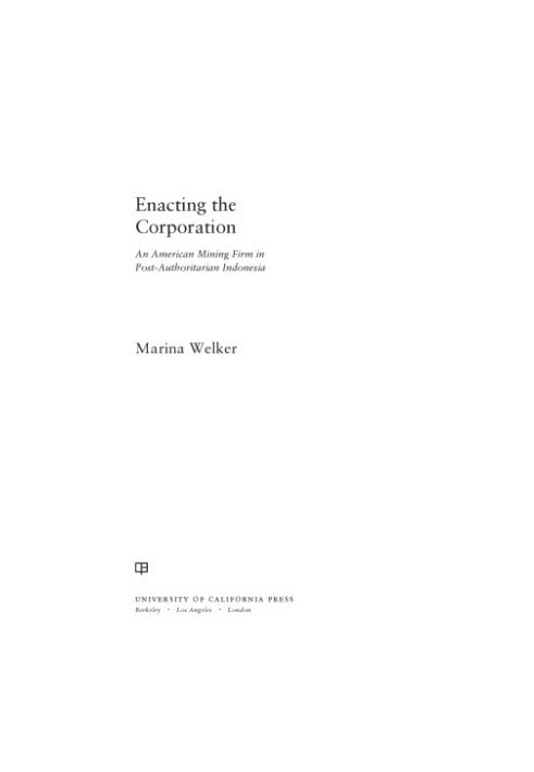 Enacting the Corporation : An American Mining Firm in Post-Authoritarian Indonesia