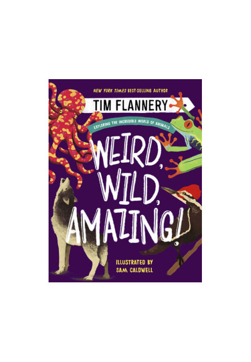 Weird, Wild, Amazing!: Exploring the Incredible World of Animals