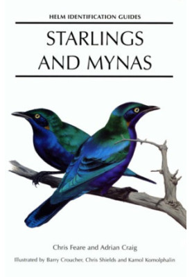 Starlings and Mynas