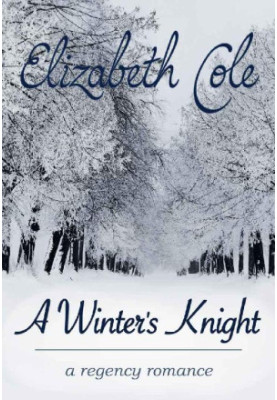 A Winter's Knight